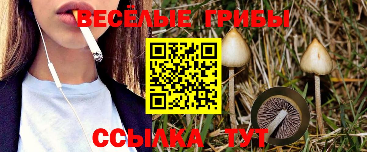 Галлюциногенные грибы прущие грибы  Псилоцибиновые грибы мухоморы  Феодосия  Вход с VPN 