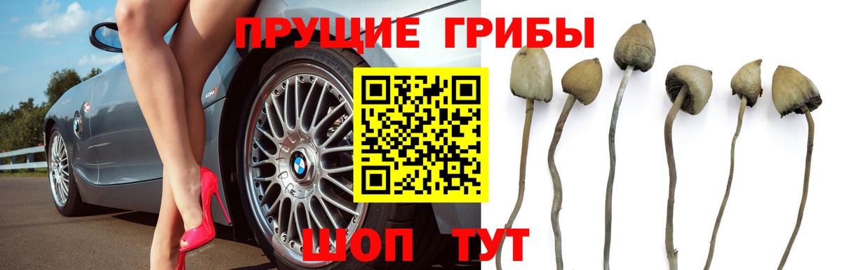 Псилоцибиновые грибы GOLDEN TEACHER Феодосия